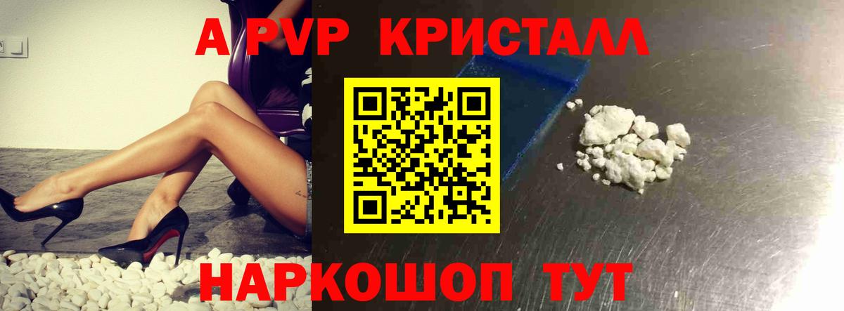 Альфа ПВП СК Тамбов