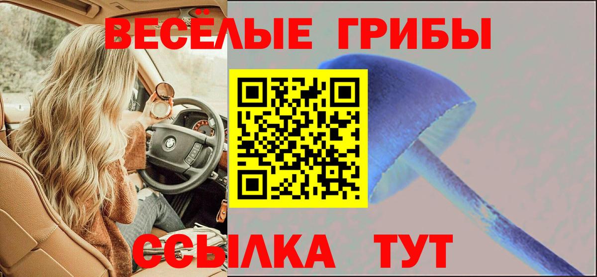 Тамбов  Галлюциногенные грибы GOLDEN TEACHER  Вход с VPN 