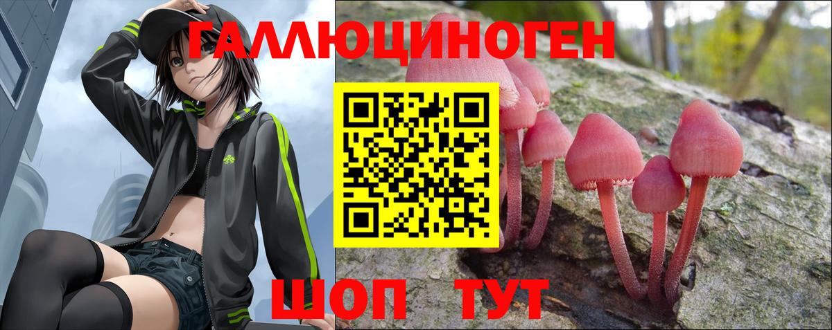 Псилоцибиновые грибы мицелий Тамбов